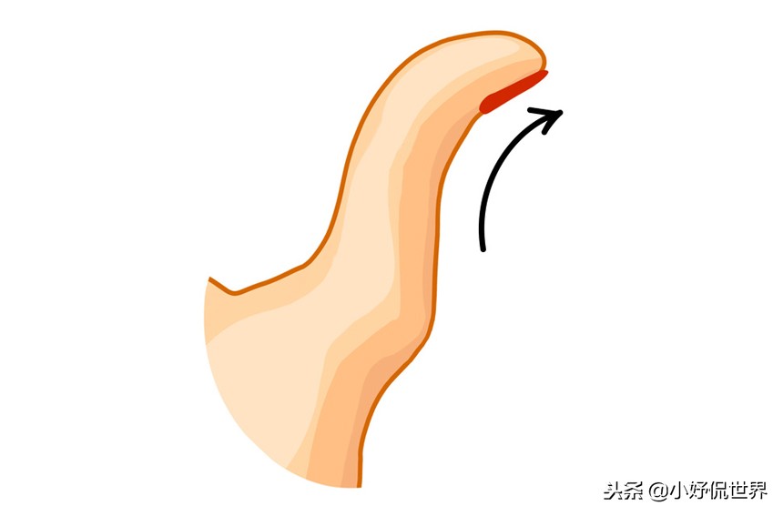 5种指型图,不同大拇指的形状代表什么