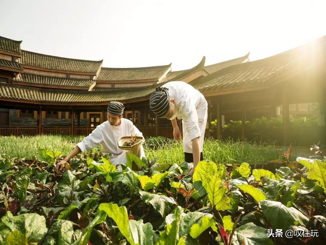 青城山六善酒店是哪个酒店旗下,青城山六善酒店禅意
