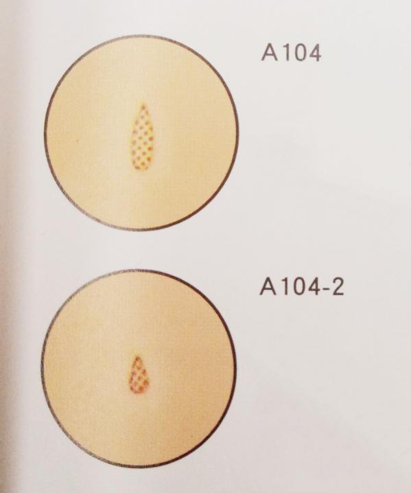 鐨叿鐭ヨ瘑绉戞櫘,鐨洉鎵撳嵃鐭ヨ瘑澶у叏