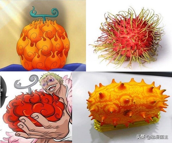 恶魔果实的秘密,神秘恶魔果实到底是哪颗