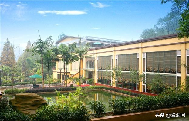 重庆温泉旅游攻略一日游最佳路线,重庆旅游圣地温泉酒店