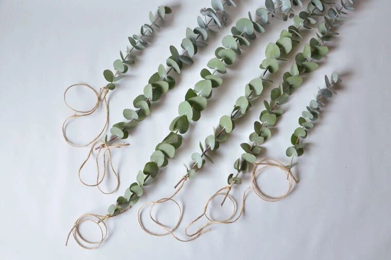 制作干花最好的季节,自制干花什么方法比较好