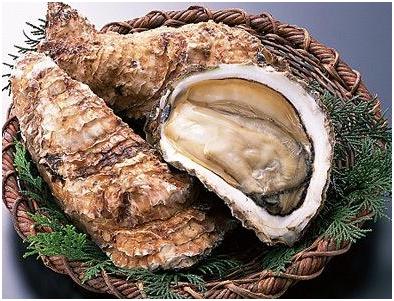 手被海鲜刺伤感染严重,人被海鲜刺伤会怎么样