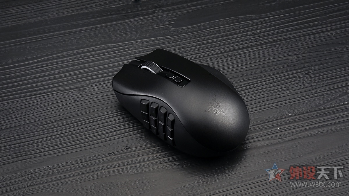 雷蛇那伽梵蛇鼠标宏,雷蛇那伽梵蛇专业版怎么装电脑上