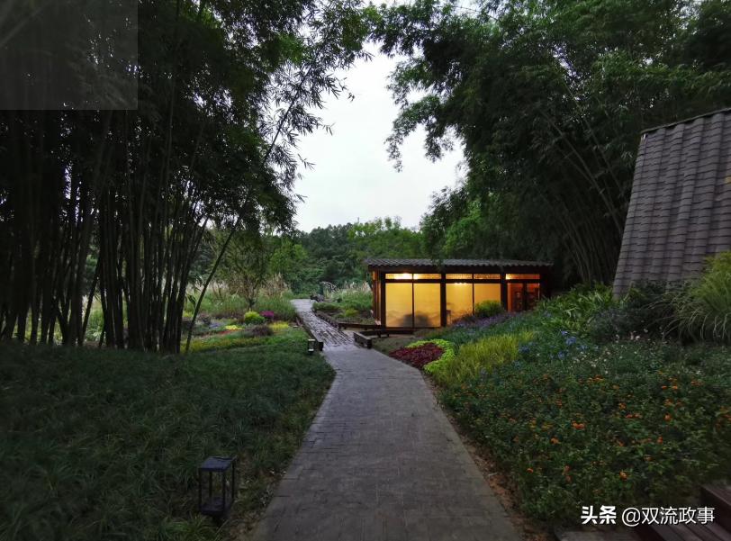 双流美丽公园城市,成都双流湿地公园美景