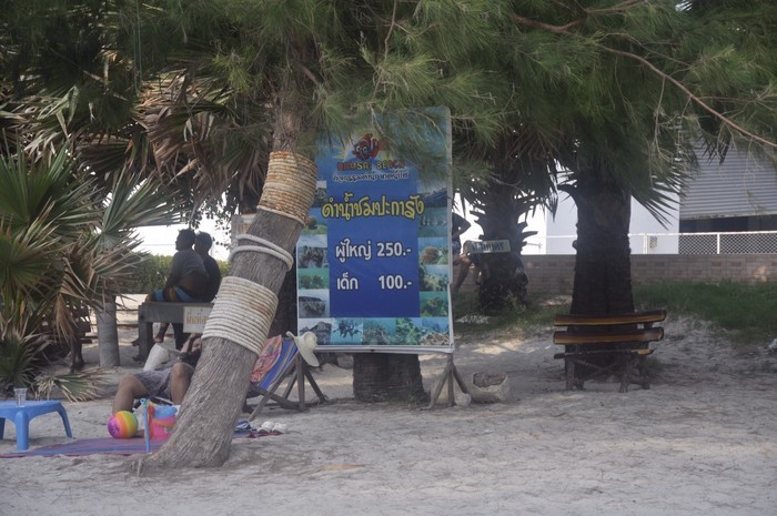 泰国-曼谷自由行攻略（结尾有花费支出哦）·附图文，落地签模板