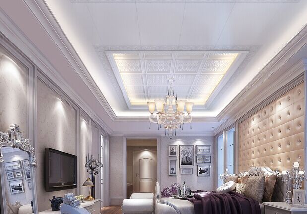 老鼠的习性视频,老鼠笼捕捉老鼠过程