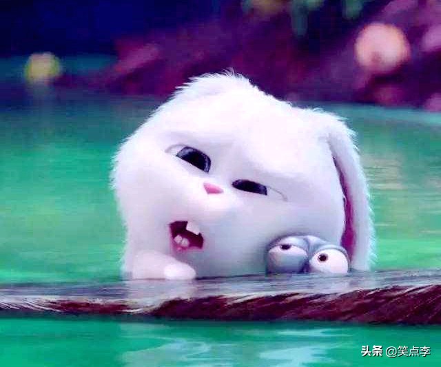 爆笑故事超搞笑精辟冷笑话集锦,讲故事搞笑幽默段子一问一答