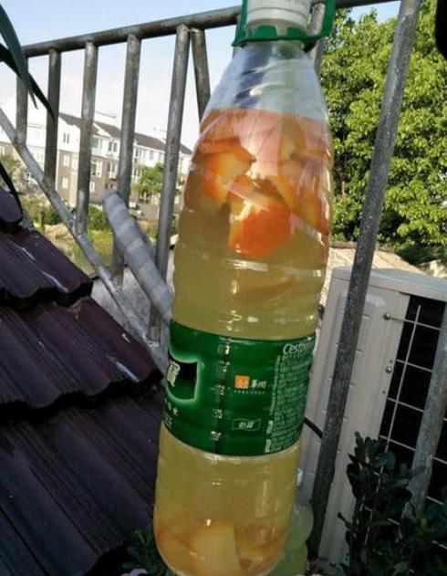 零成本自己制作有机肥,自制有机肥一般多长时间用