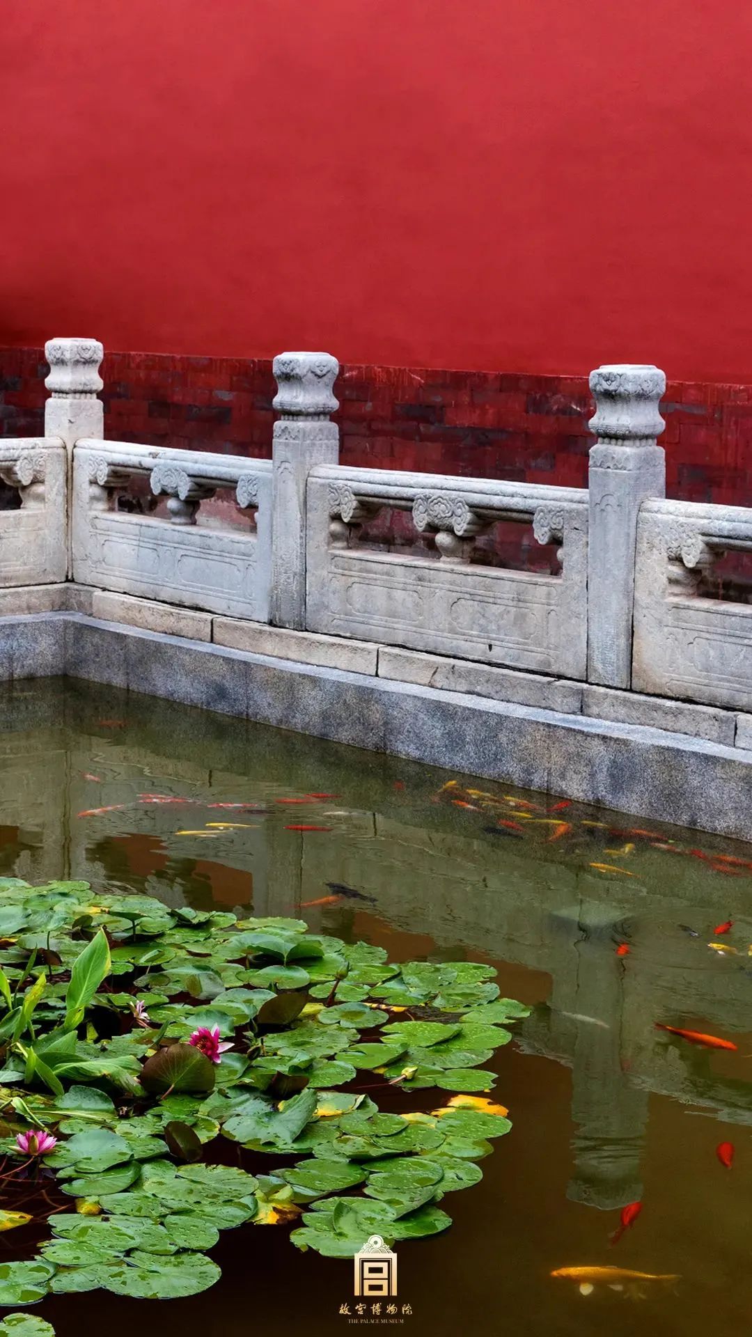 有关明朝朱元璋的纪录片,纪录片中国明朝朱元璋