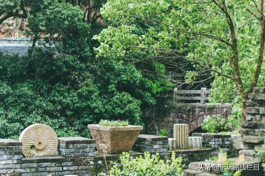 清明周末去哪玩？青田这个神仙山村必须打卡