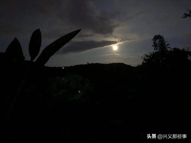 贵州仓更板栗基地地址,贵州板栗在哪里