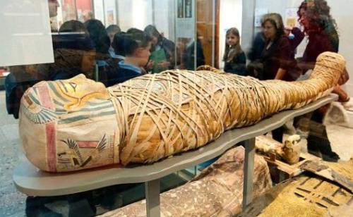 女人100条冷知识图片,10条冷知识不可思议