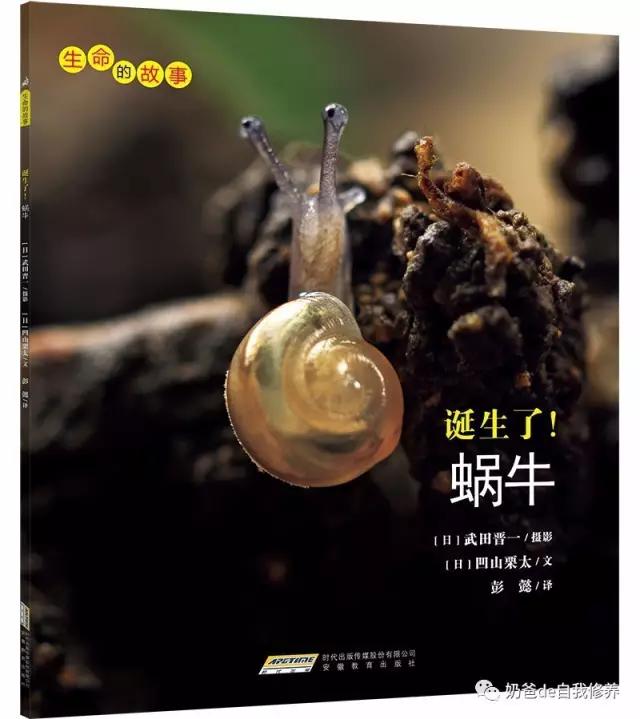 关于动物有趣的书小学生,关于动物好看的书有哪些