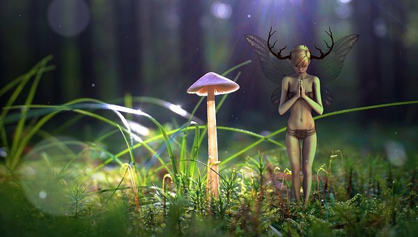 化妆品公认有效的植物提取物,化妆品中草本提取物是真的吗