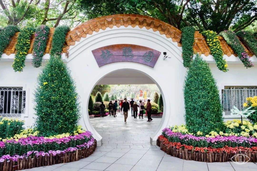 深圳地铁7号线有什么好玩的,深圳地铁十四号线游玩攻略