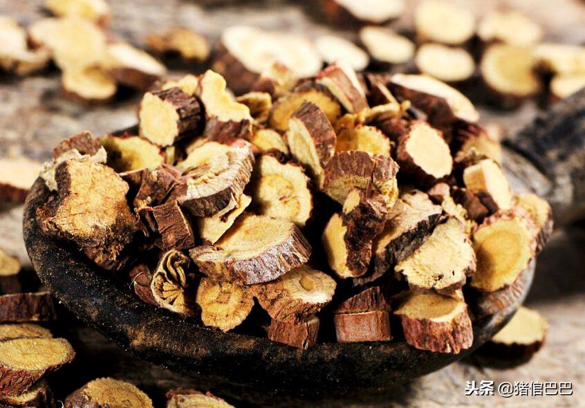 猪治疗呼吸道疾病的中药,促进猪生长的药