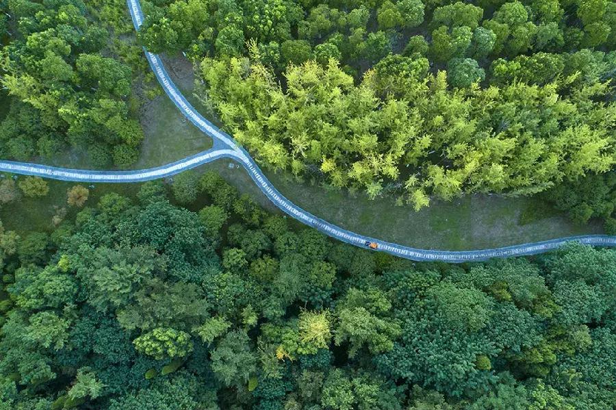 不一样的生活高新区,高新区有什么特点