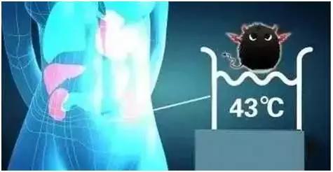 肿瘤热疗能杀死癌细胞吗,人体温度43度以上可以杀死癌细胞