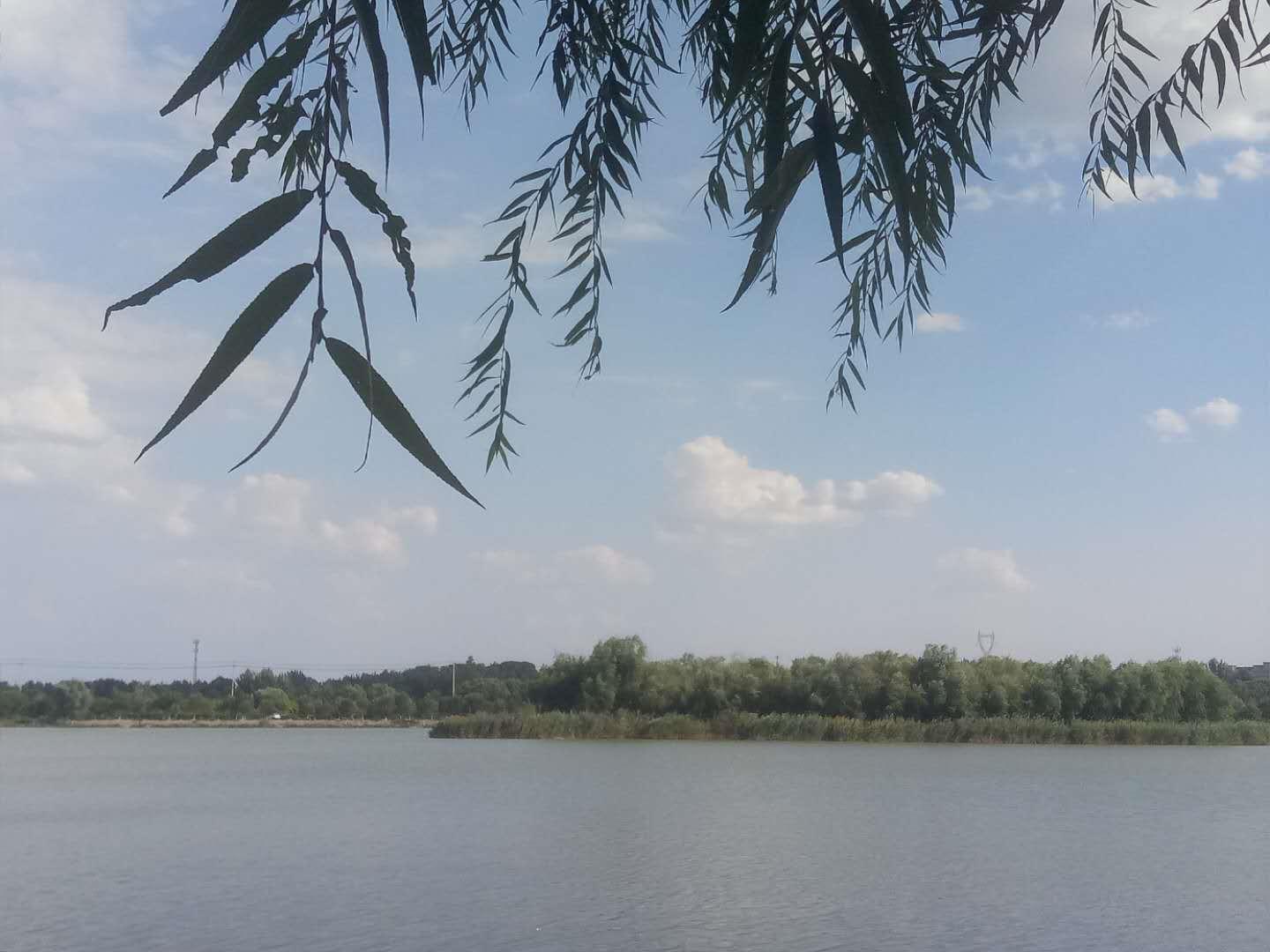 余生足够长学会虚度时光,任何的时光都该被珍惜