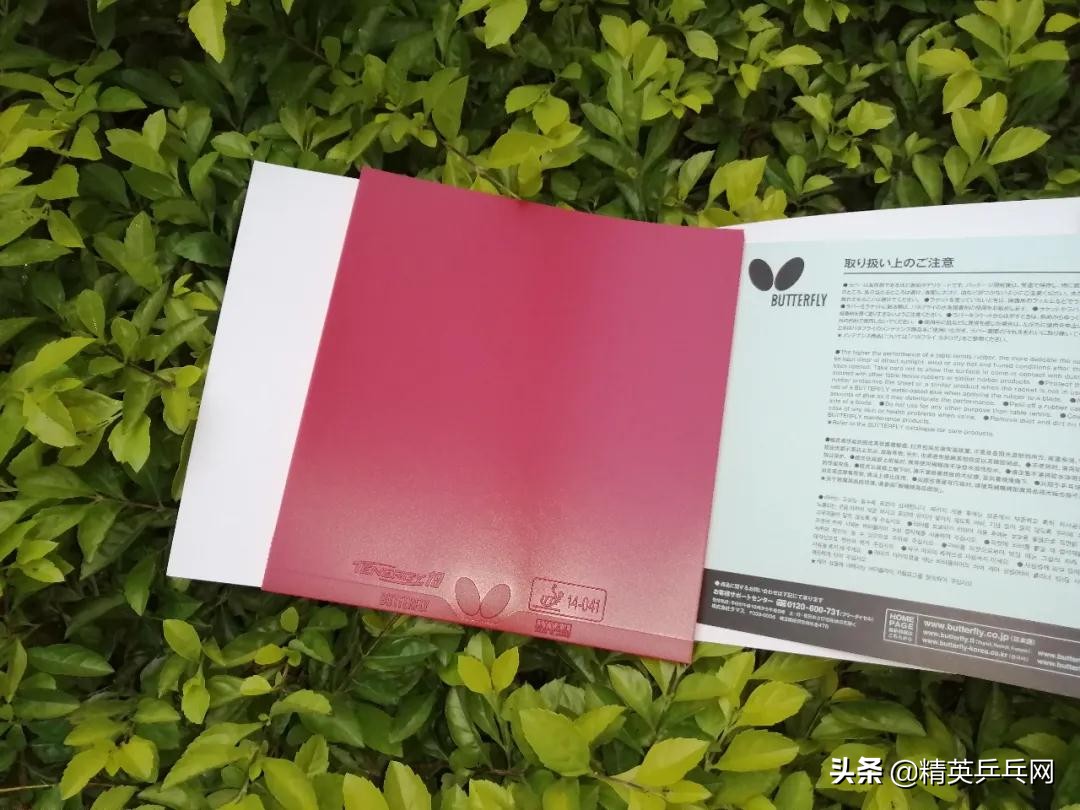 蝴蝶t19适合打正手还是反手,蝴蝶t19买国行还是日版