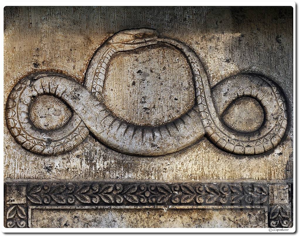 毒蛇咬到了自己会不会被毒死,毒蛇把自己咬了