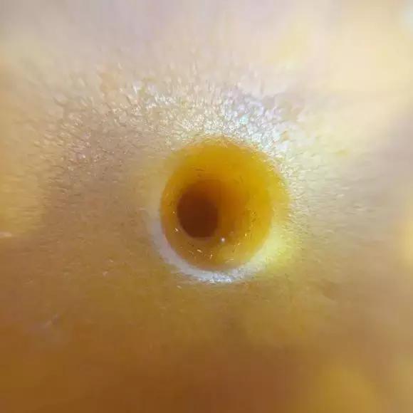 文玩老珠,文玩老珠子手串