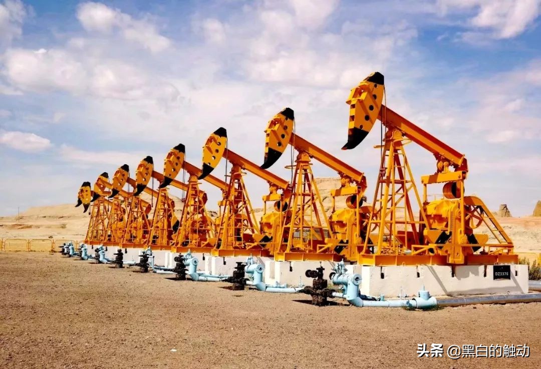 都说新疆好去新疆发展可靠么,都说新疆好地方