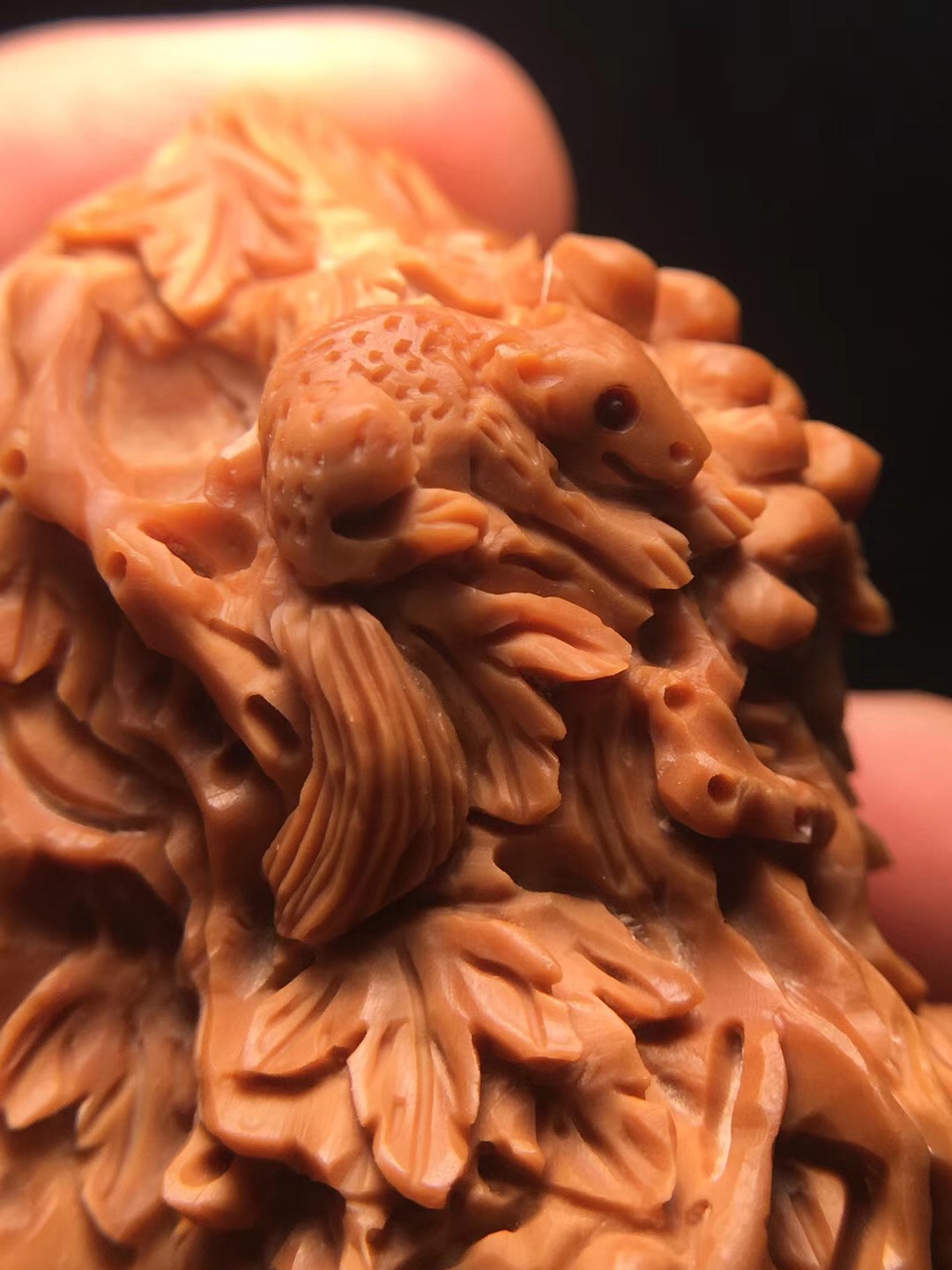 落地桃核发黑如何清洗,山桃核的正确清洗方法