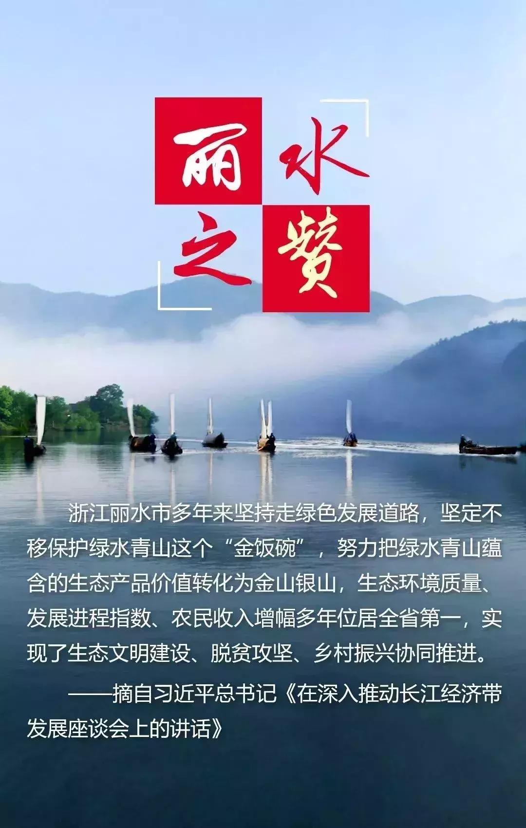 红色新丽水,红色浙西南央视