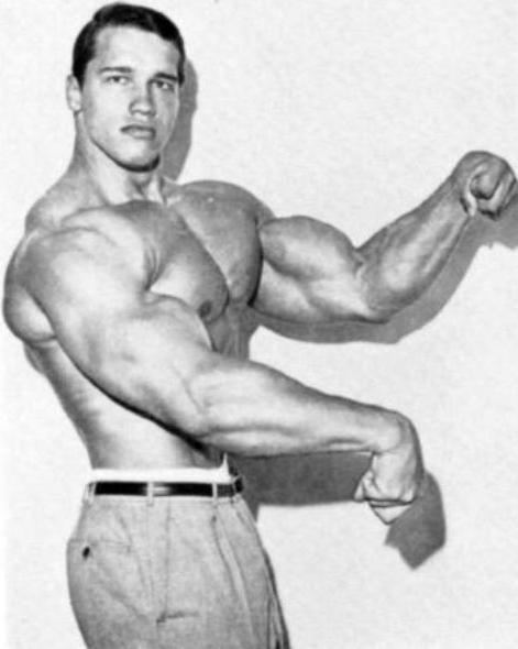 卧推480斤,世界第一拳击猛男