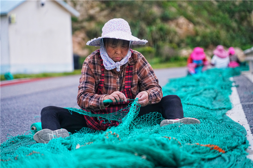 嵊泗海岛旅游攻略,嵊泗列岛自由行攻略