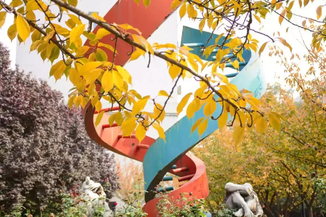 西安交大2023陕西专项招生,西安交大2019录取情况