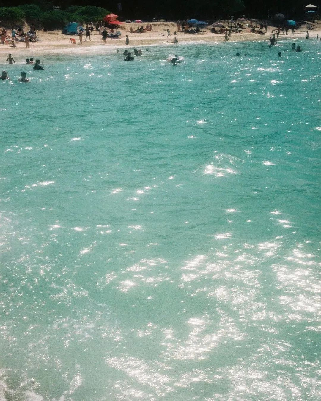 blackpink同款胶卷相机,blackpink同款胶片机