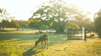 中国游客都不出门了，这谁顶得住？
