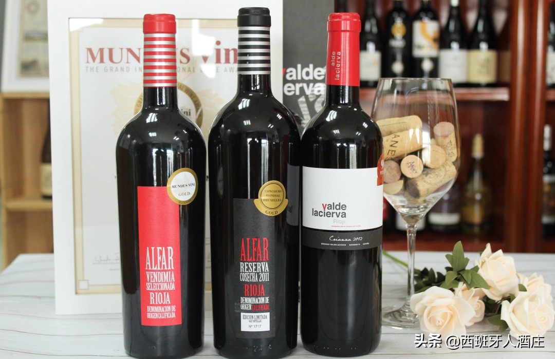 走进葡萄酒专卖店,走进葡萄酒庄园视频