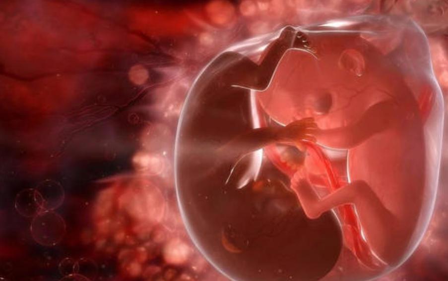 5个月大的胎儿频繁胎动，一查：可能是想见妈妈了