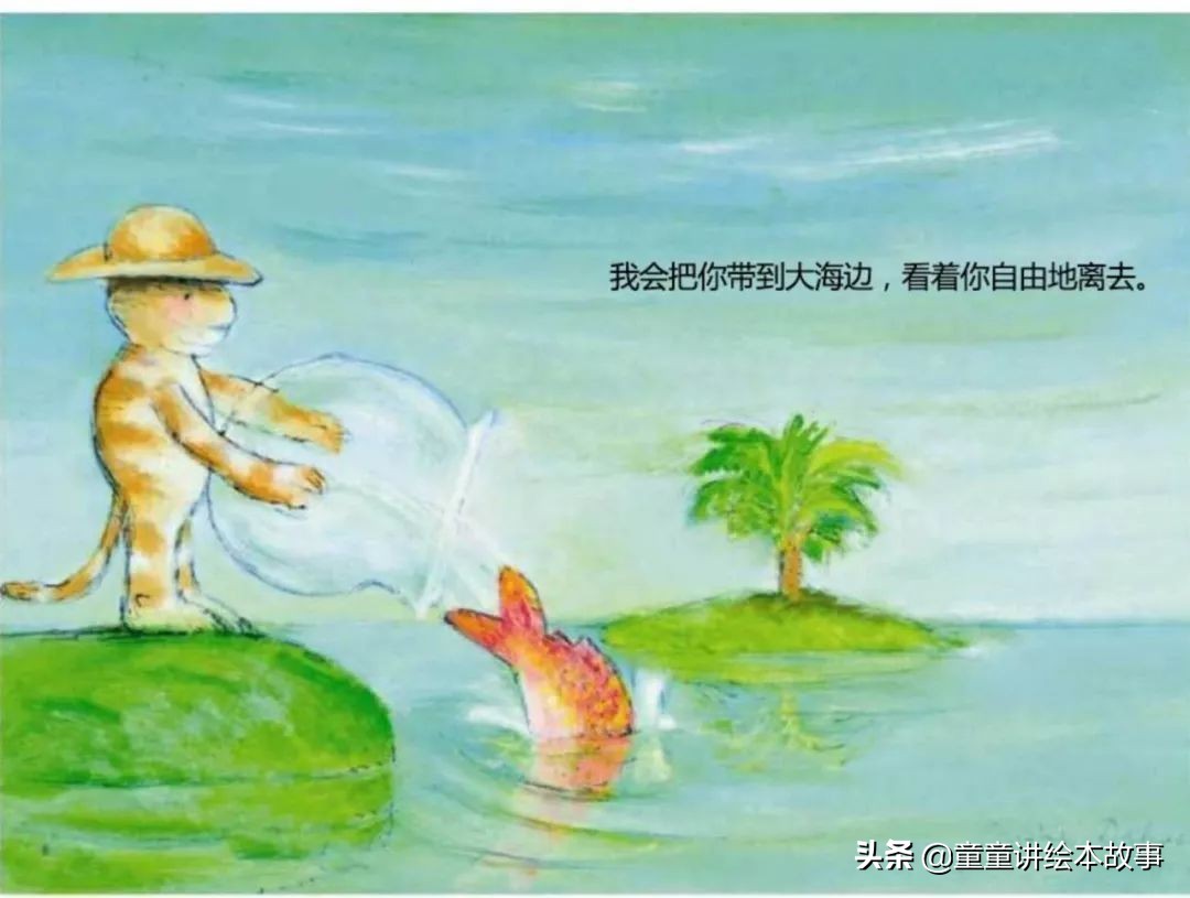 有声绘本免费听书亲爱的小鱼,亲爱的小鱼绘本故事视频完整版