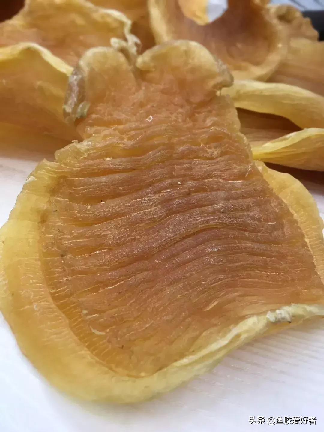 五大顶级鱼胶赤嘴鳘鱼胶,五大赤嘴鱼胶