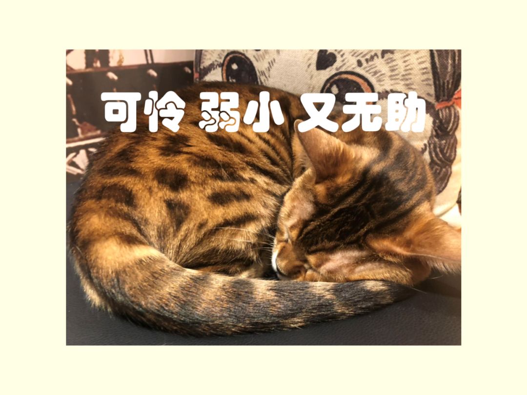 双亲过世，我想处理遗产问题，可妹妹掌握所有明细却不配合我进行分割，该怎么办？