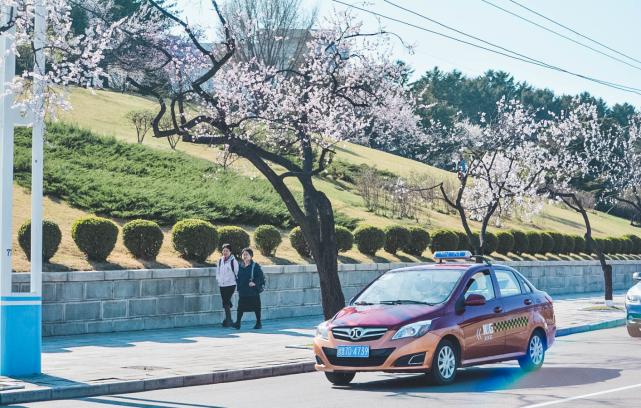 走进朝鲜首都平壤,朝鲜平壤户口含金量