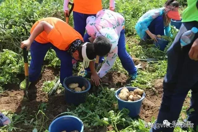 济南比较好的小学生夏令营,山东小学生夏令营