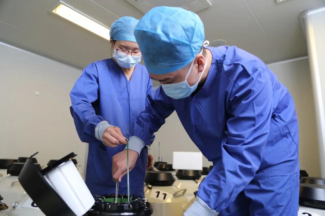 试管婴儿胚胎反复种植失败妇幼保健院调整移植策略终助孕成功