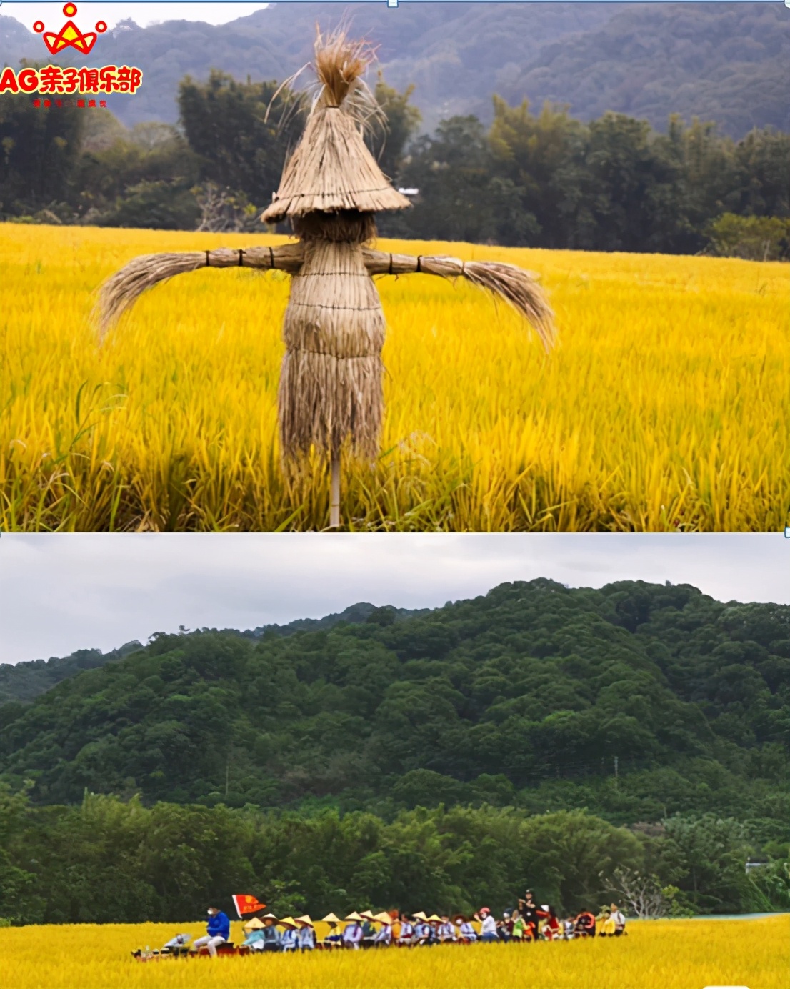 柿柿如意今秋造访最美柿子乡,金秋十月收获的季节柿柿如意