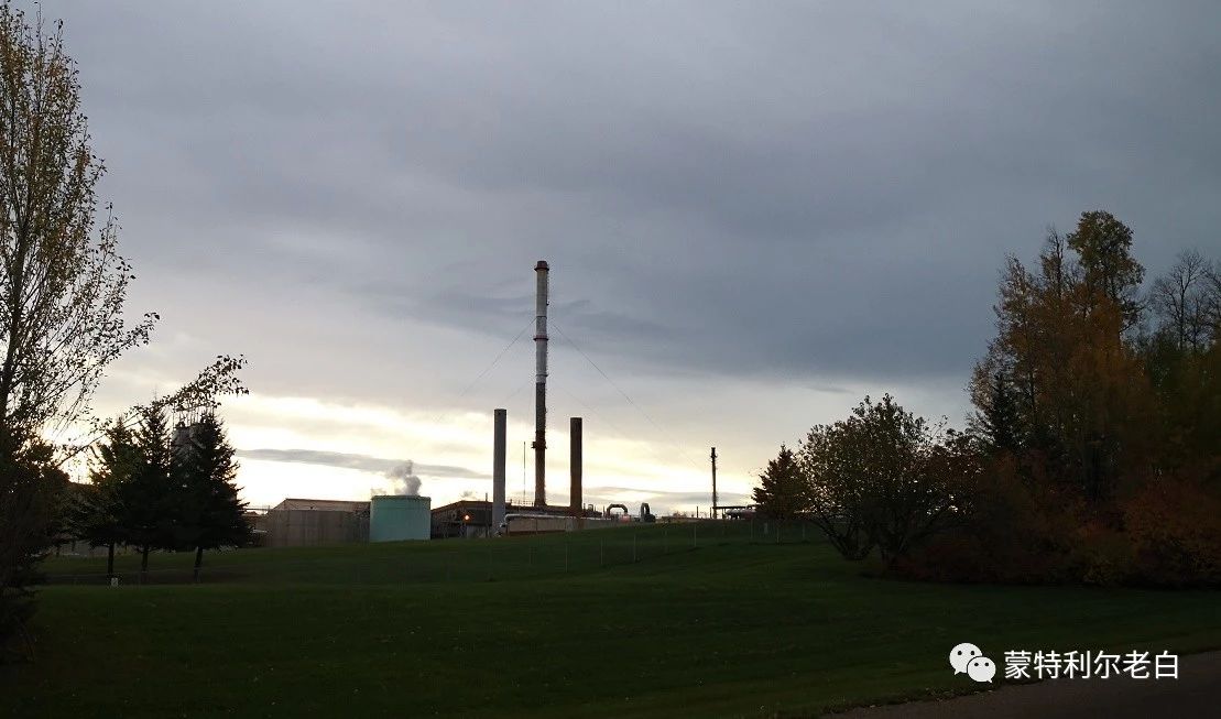 跟着老白行走加拿大，育空Watson Lake、BC省Northern Rockies