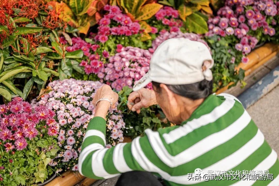 武汉秋天的第一场音乐节,武汉秋天第一场音乐节
