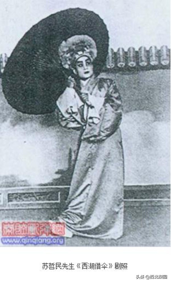 秦腔名人苏哲民,秦腔民间名人唱段