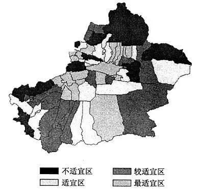 在*疆新**，谁才是“果界一哥”？
