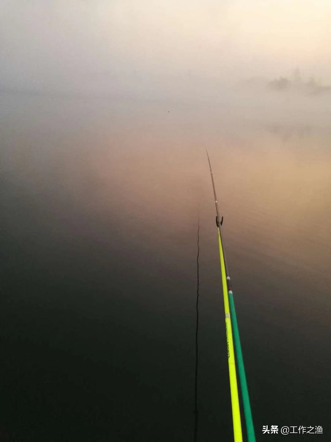 钓鱼先钓离底再钓底,钓鱼钓底有什么需要注意的