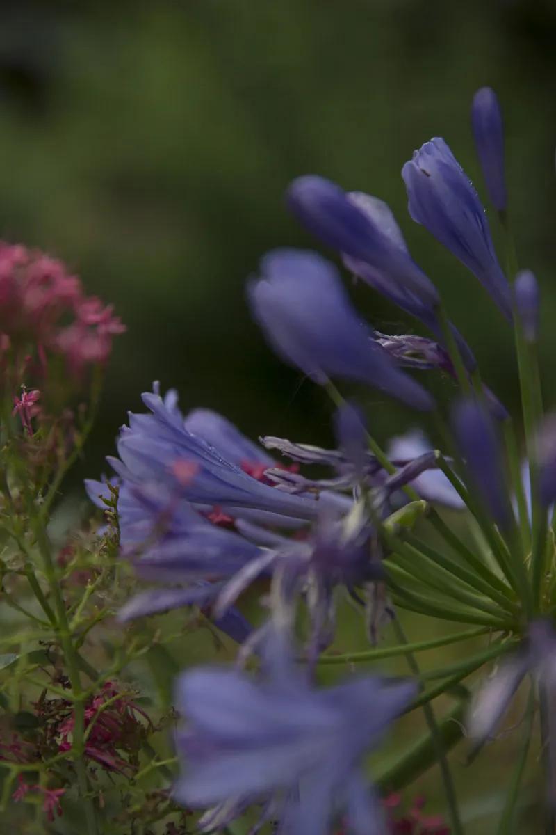 旅游住宿业,旅游住宿业产业特征